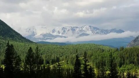 Altai territory