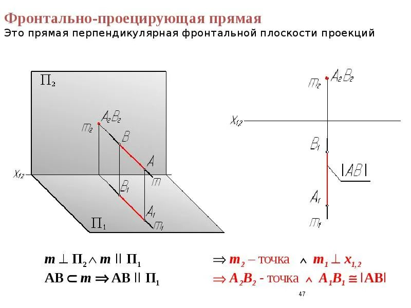 Проекция горизонтально проецирующей прямой