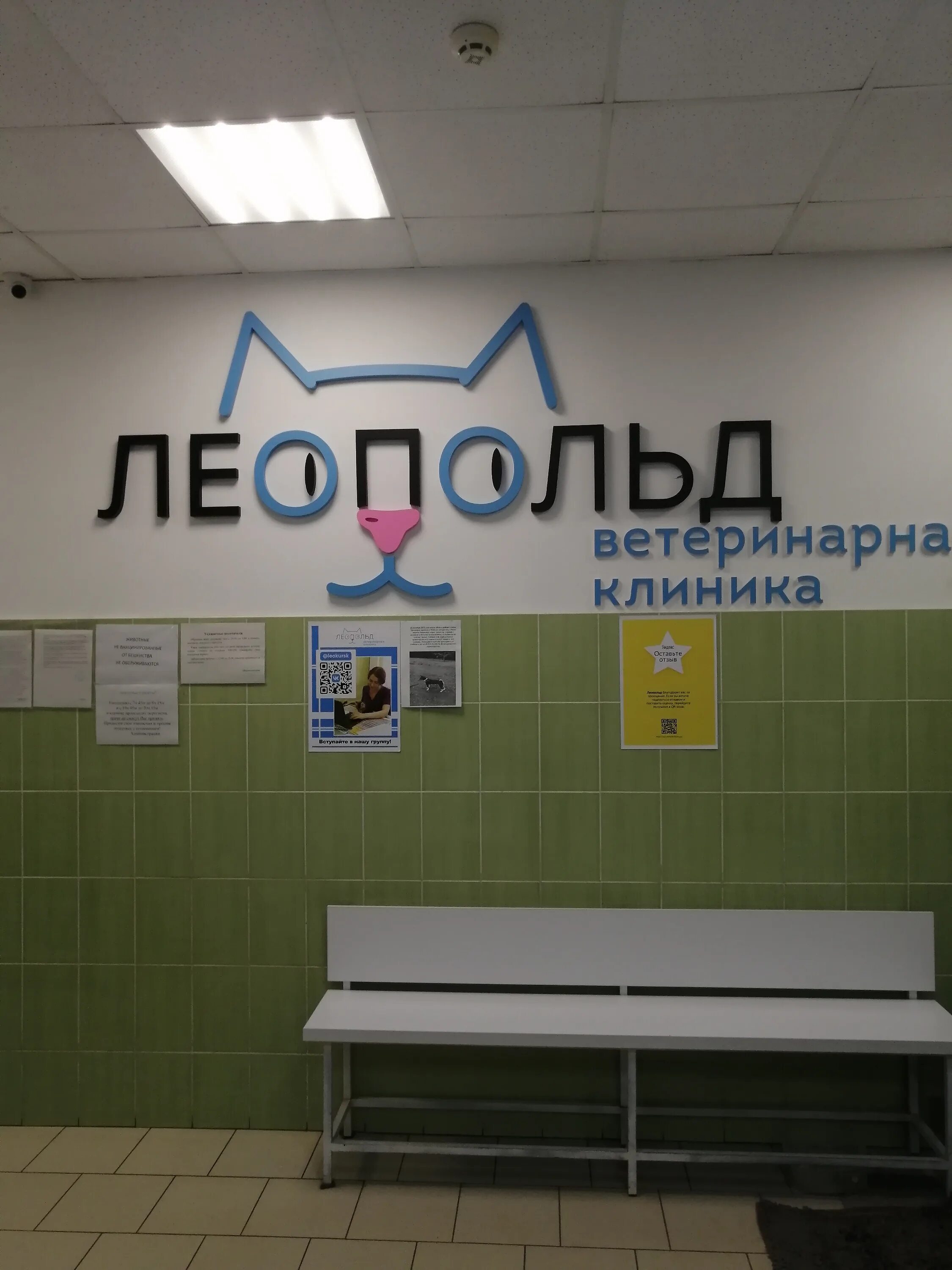 Леопольд ул карла маркса 66а фото