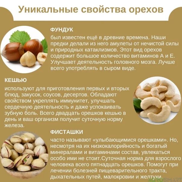 Польза и вред кешью для организма мужчины. Орехи польза. Какие орехи полезнее. Полезные свойства орехов. Фундук полезные витамины.
