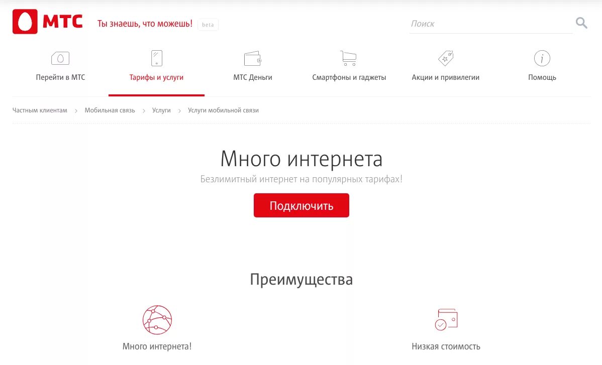 Много интернета мтс как подключить. Безлимитный интернет МТС за 100 рублей. Услуга «много интернета» МТС. МТС интернет. Мобильная сеть МТС.