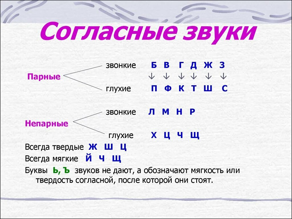 Согласный звонкий непарный таблица. Согласные твёрдые и мягкие звонкие и глухие 1 класс. Парные глухие согласные звуки 2 класс таблица. Звуки твёрдые и мягкие звонкие и глухие таблица. Разбор слова парная