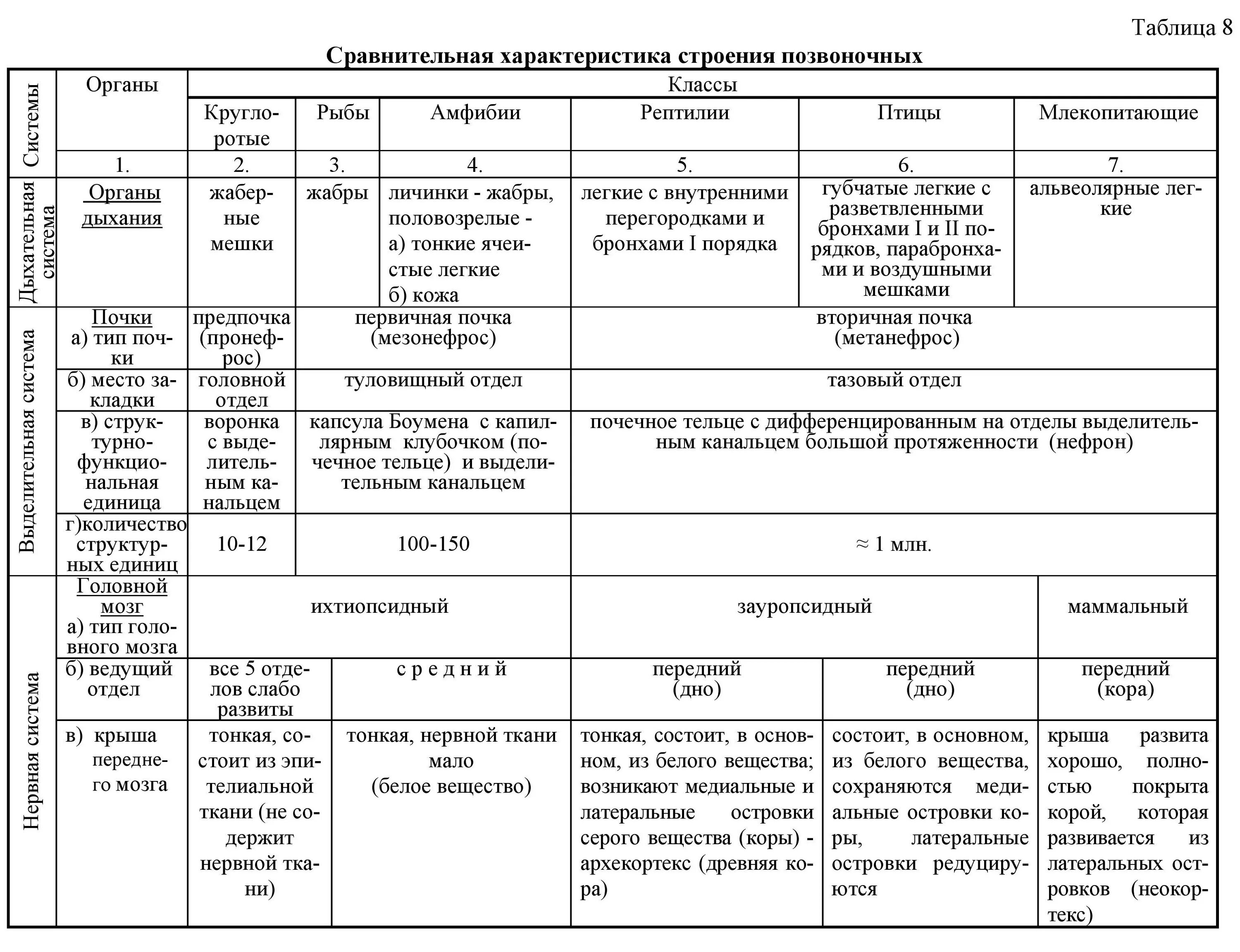 Различия классов позвоночных животных. Эволюция систем органов хордовых животных таблица. Сравнительная таблица дыхательной системы позвоночных. Эволюция систем органов позвоночных животных таблица. Сравнительная характеристика типа Хордовые таблица ЕГЭ.