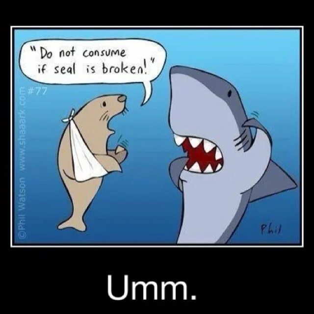 The little seal is laughing at us. Seal is broken. Hilarious jokes. Breaking the Seal.