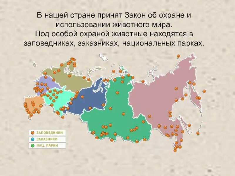 Закон об охране животных. Законы россии об охране животных. закон о животном мире.