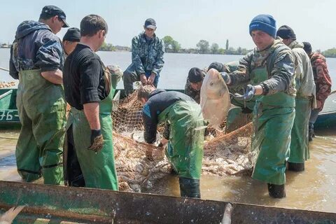 Погода икряное астраханская