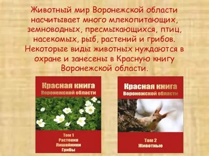 Животные из красной книги воронежской
