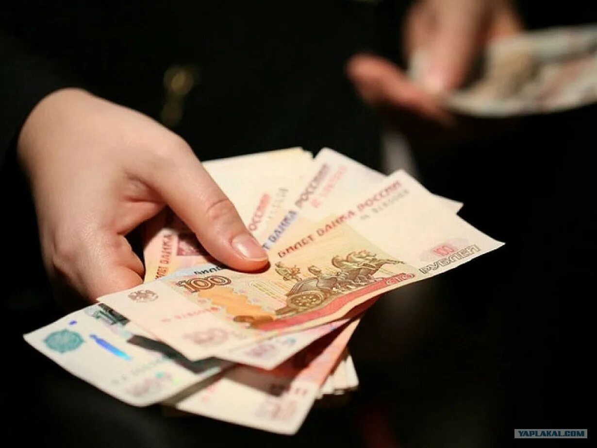 Денежные приметы. Наличка в руках. К чему снится найти деньги бумажные купюры. Бумажник с деньгами. Деньги в женских руках.