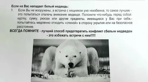 В зоопарке за 4 дня белому