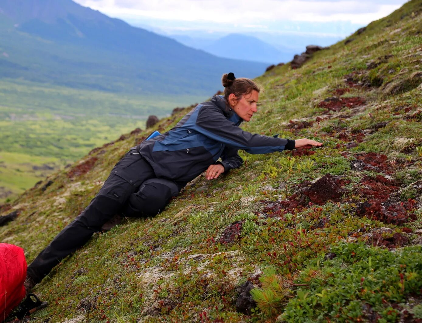 Массовая гибель морских животных на камчатке (2020). Камчатка 2020. Камчатка 2020. Экологическая катастрофа на камчатке в тихом океане. Тихий океан 2020 катастрофа.