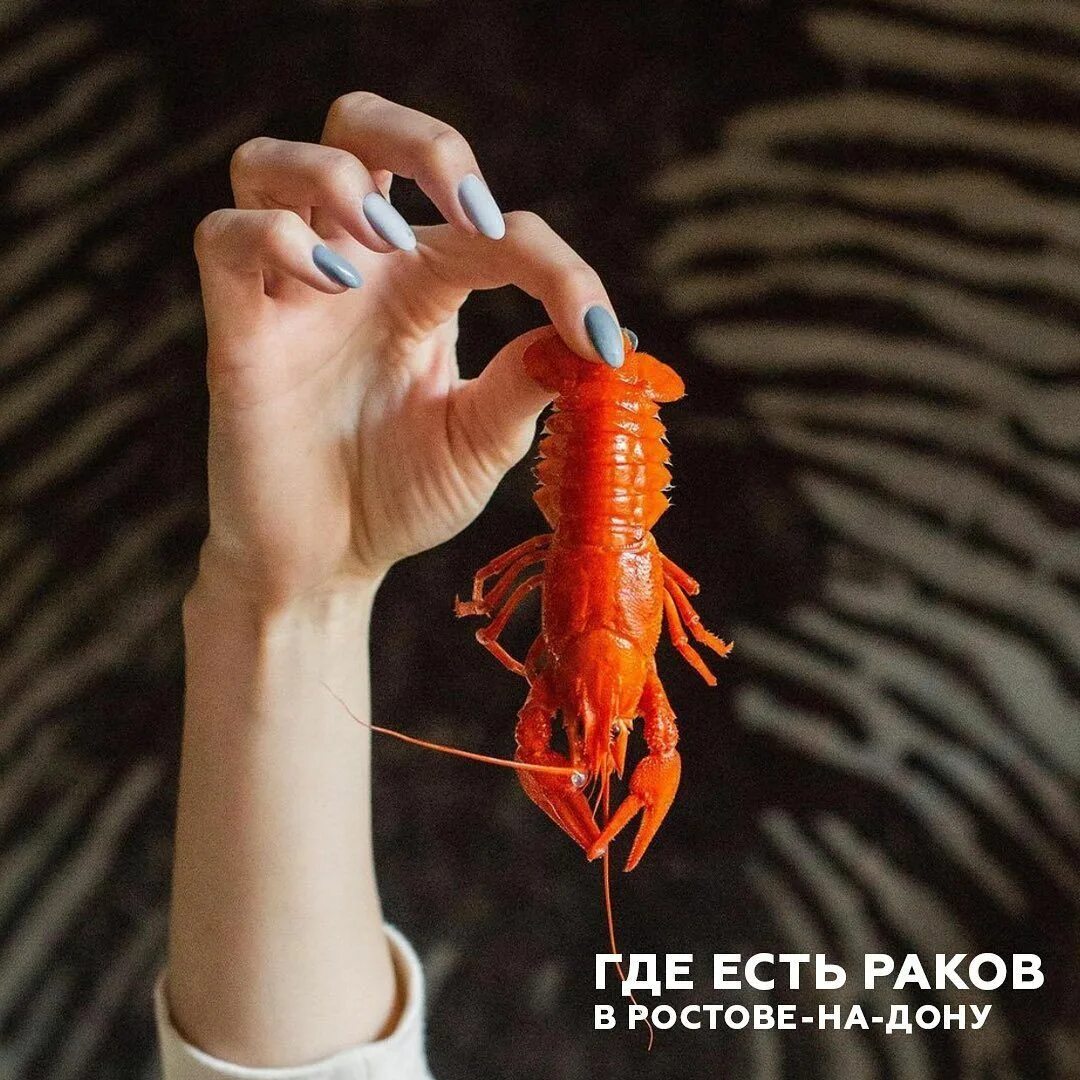 Фото реки дон в воронежской области. Дон ест. Горы две сестры в ростовской области. Река дон в тульской области. Слияние хопра и дона.