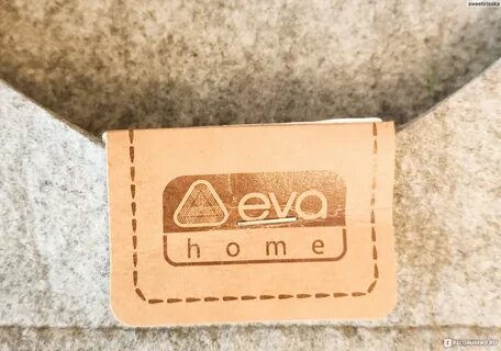 Eva home offline