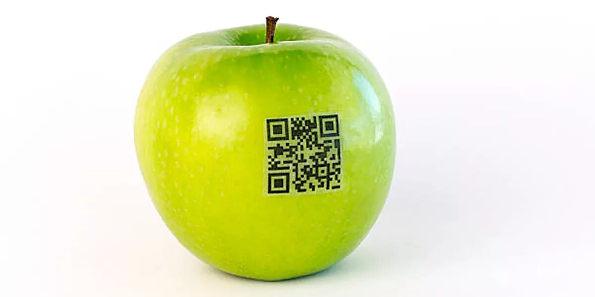 Я хочу зеленое яблоко прямо. Маркировка яблок. QR код яблоко. Зеленое яблоко на этикетке. Яблочный зеленый код.