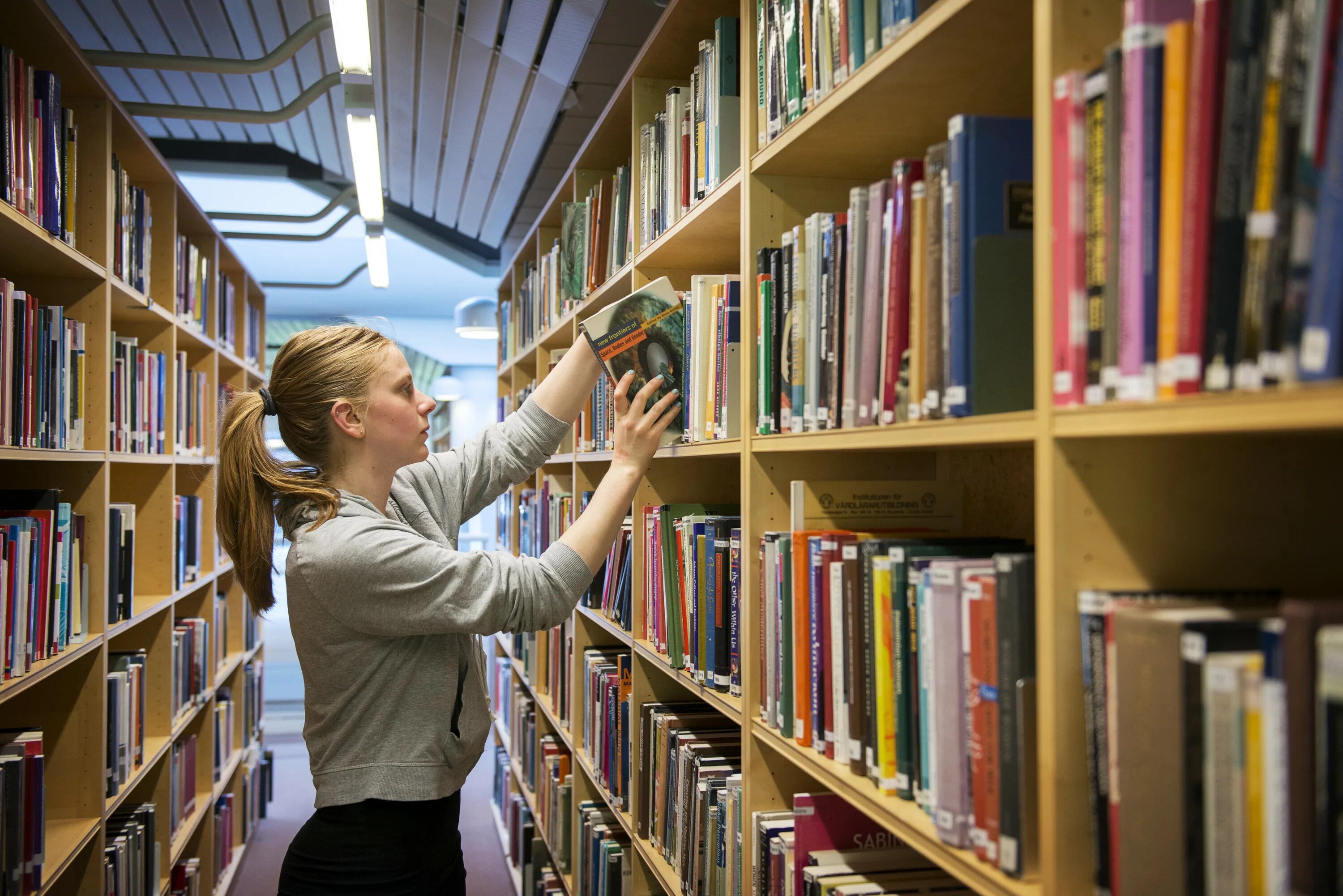 Library manager. Студенты в библиотеке. Книга библиотека. Фотосессия в библиотеке. Девушка в библиотеке.