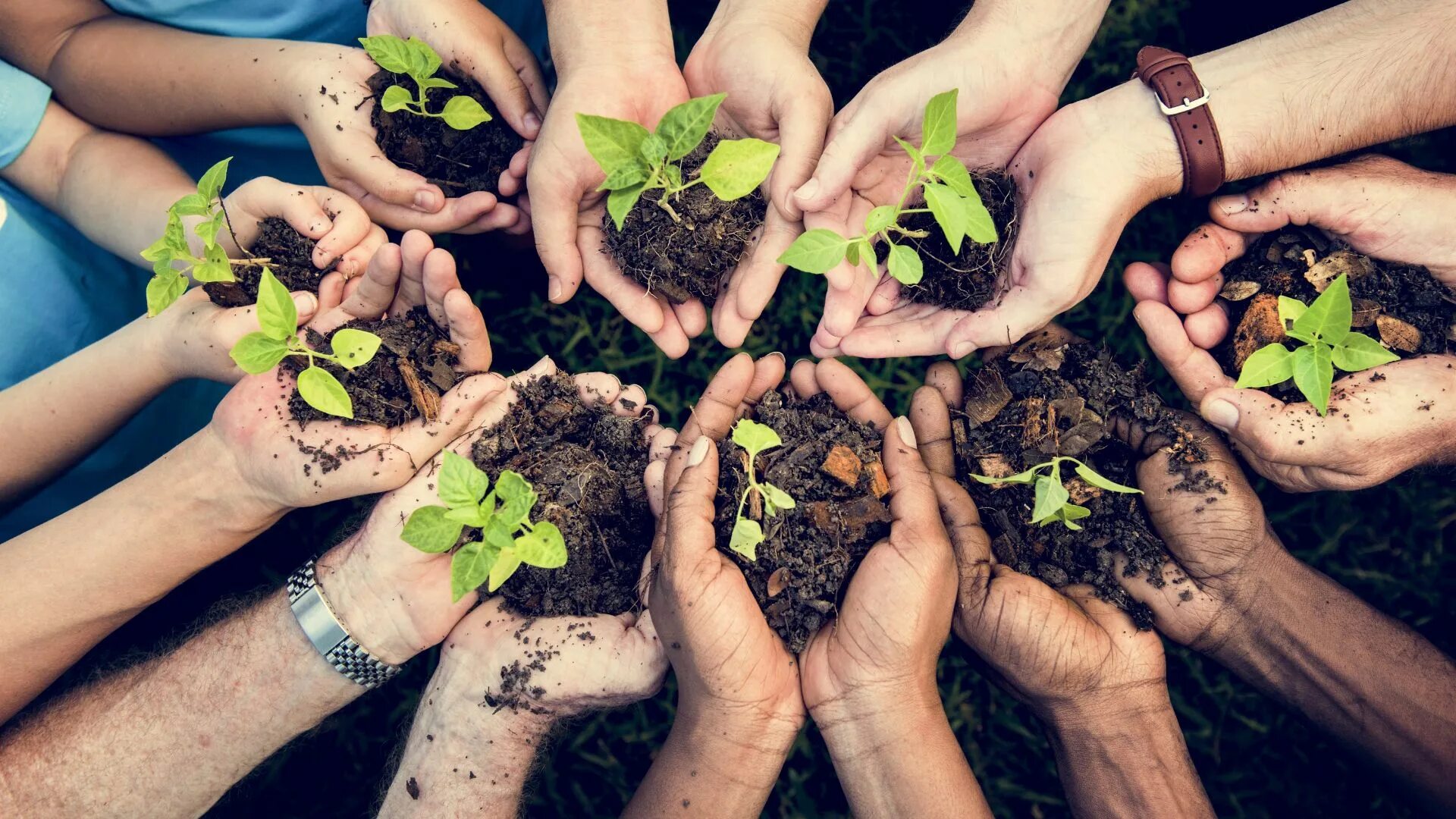 Caring environment