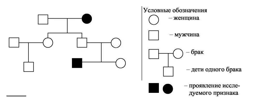 Символ рецессивного гена