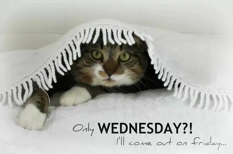 Morning it s me