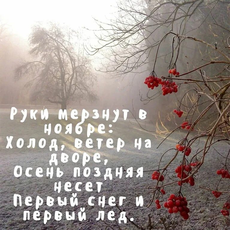 В россии последнее воскресенье ноября. Ноябрь картинки. Стихи про ноябрь. Стих про ноябрь короткий. Цитаты про ноябрь.