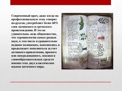 Это слово латинское и соответственно