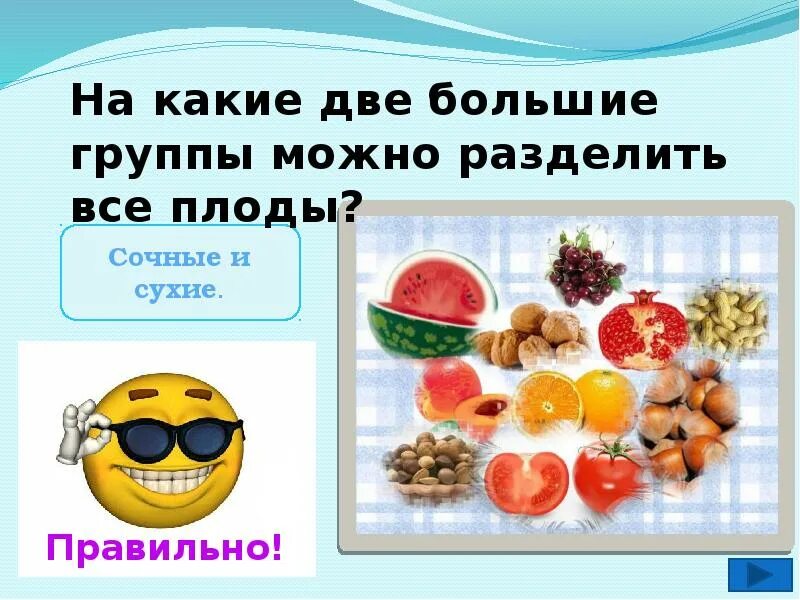 Какое основание позволило разделить организмы. Как можно разделить плоды. на какие группы можно поделить плоды. разделить плоды на группы 2. на какие 4 группы можно разделить все плоды.