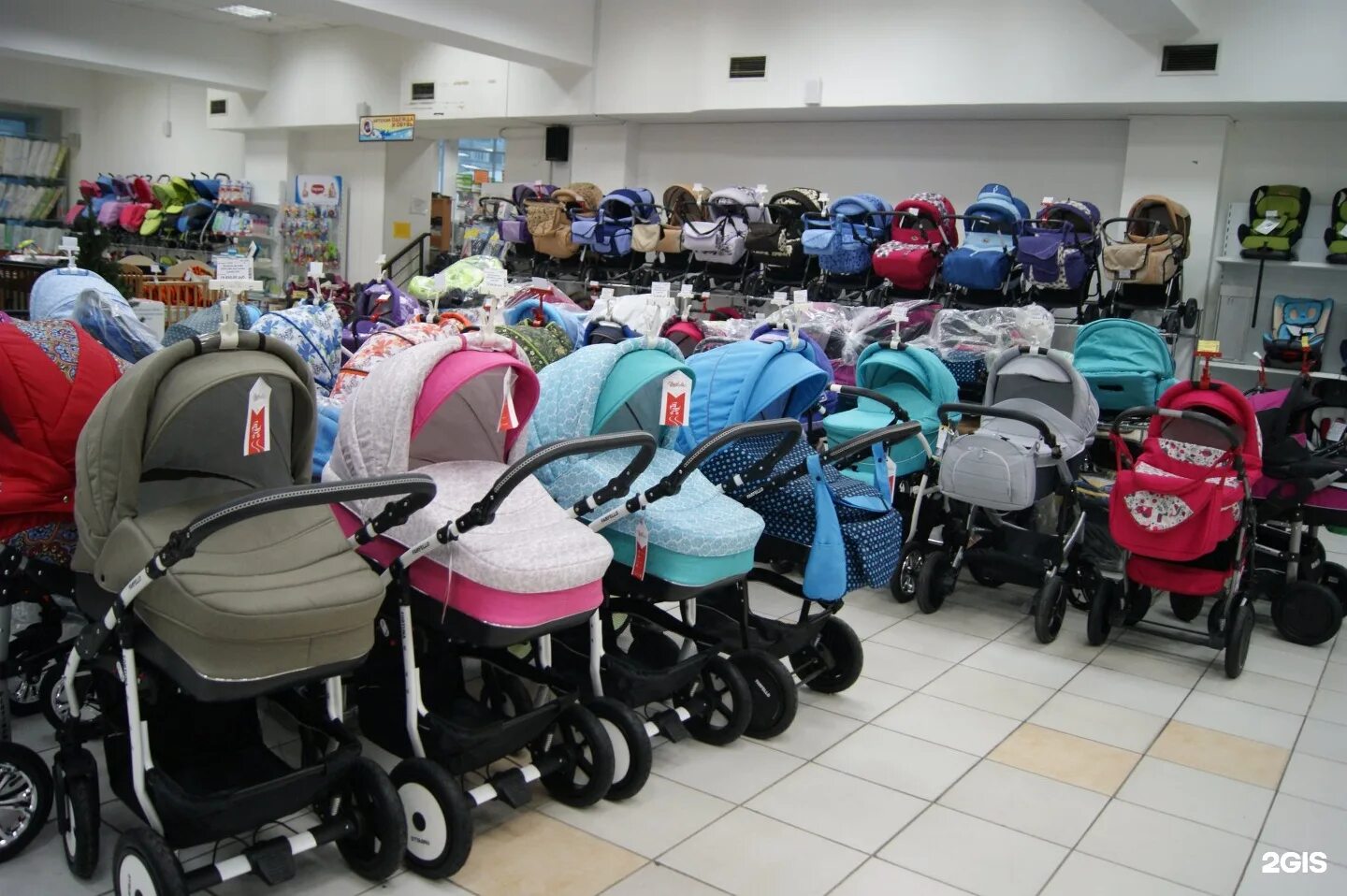 десятое королевство армавир