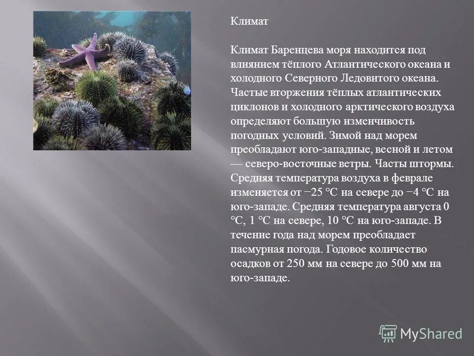 Тип баренцева моря. Климат баренцева моря. климатические условия баренцева моря. особенности климата баренцева моря. климат баренцева моря кратко.