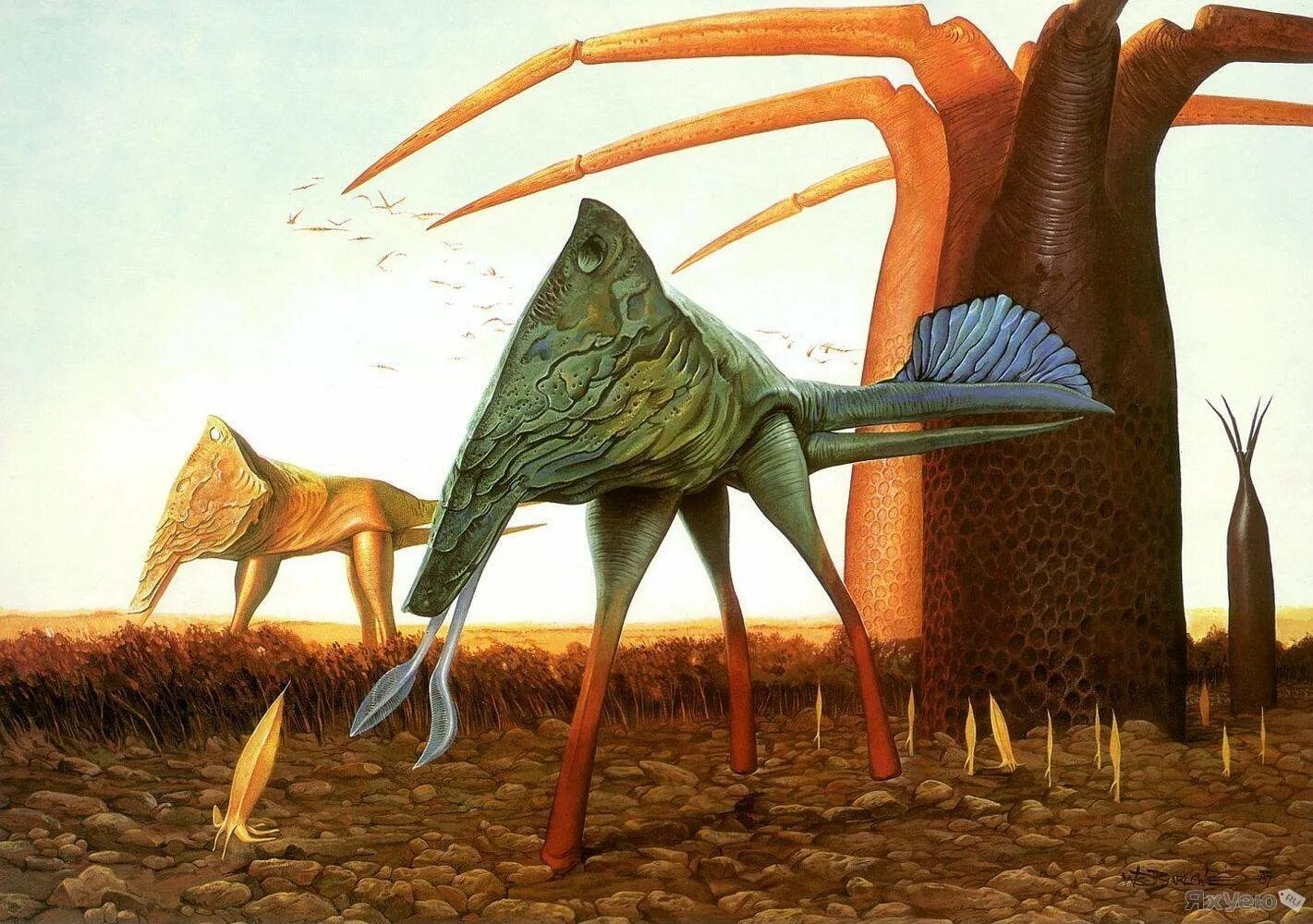 Эрнст геккель фораминиферы. Инопланетные формы жизни. Микромир под микроскопом. Различные формы жизни. Формы жизни.