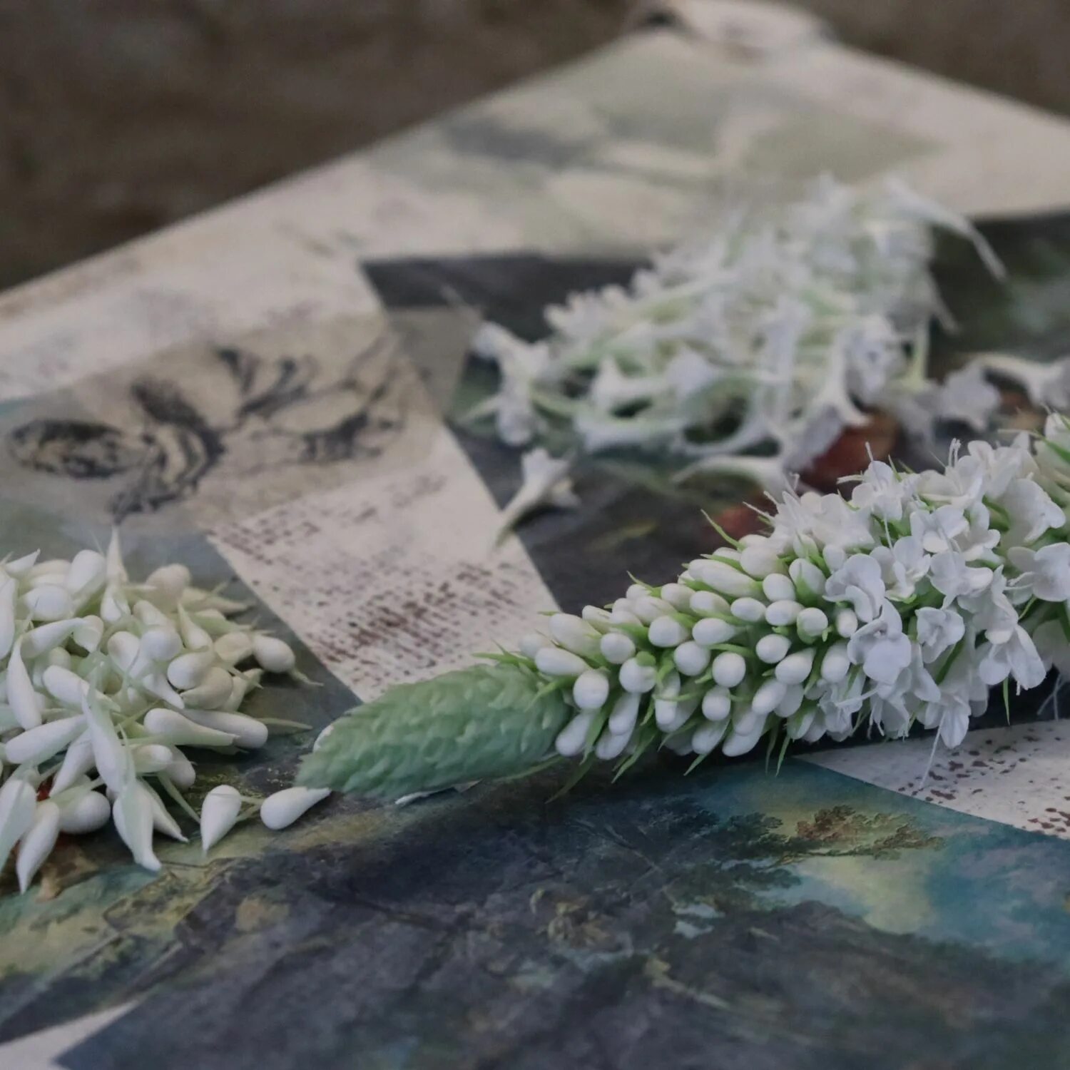 Цветы симферополь. Заказать цветы в симферополе. растения в симферополе купить.