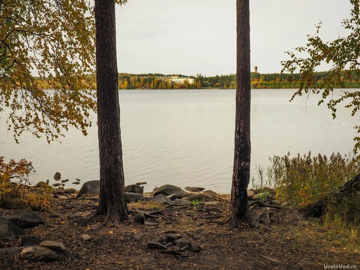 Сайт озеро чусовское екатеринбург. Чусовское озеро Екатеринбург. Поселок Чусовское озеро Екатеринбург. Чусовское озеро (посёлок). Чусовское озеро Екатеринбург пляж.