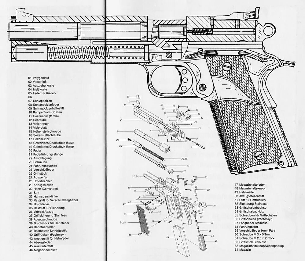 Идеи для бумажной собаки с одеждой. Собака из бумаги объемная. Бумажные собаки из тт схема. Бумажные собаки из тт схема. Разукрашка бордер колли.