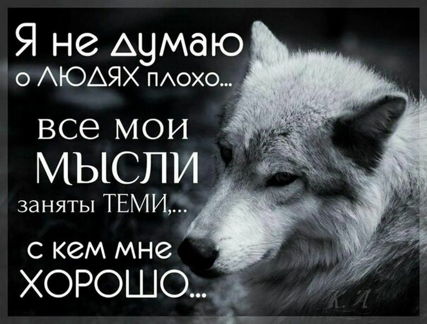 Лучший статус видео. Цитаты волка. статусы с волками. мудрые цитаты.волк. волк умные цитаты.
