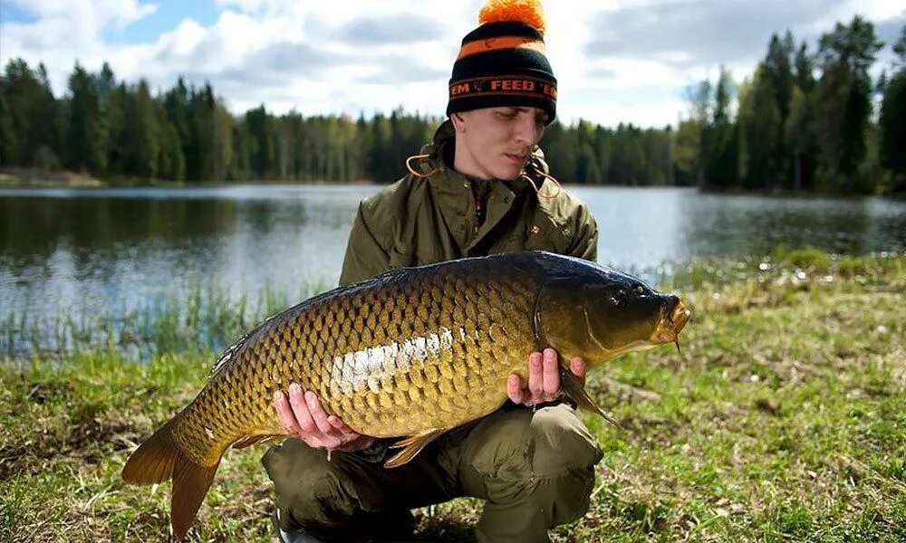 Карповый пруд челябинск. Спортивный карповый водоем. Карповый пруд челябинск рыбалка. Архимандритское озеро уфа. Карповый пруд серпухов.