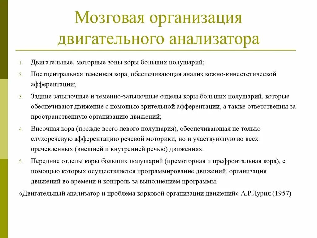 Нарушение двигательного анализатора