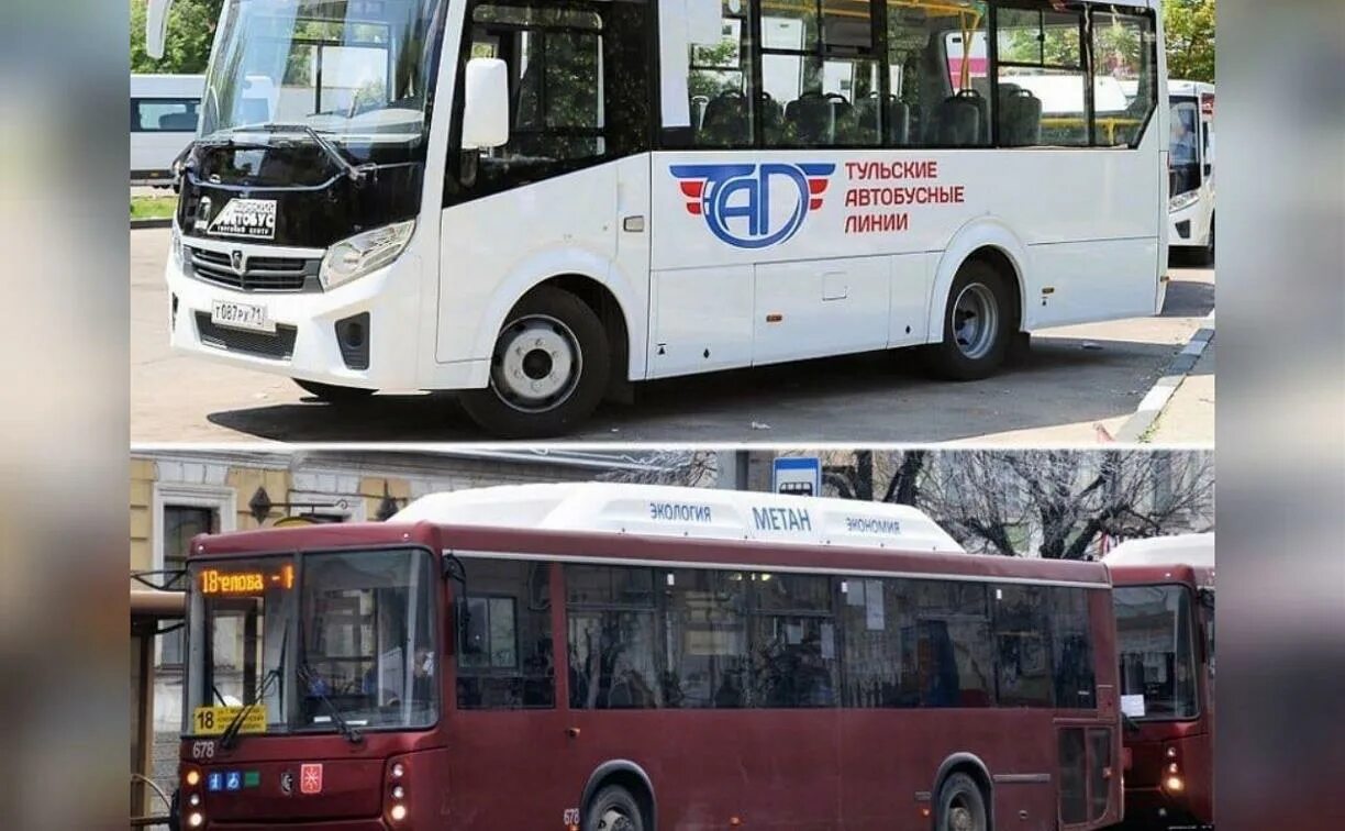 Паз-320435 vector next. Тулгорэлектротранс автобусное депо. Автобусы нефаз в туле. Волжанин тула. Автобус нефаз 5299 30 51.