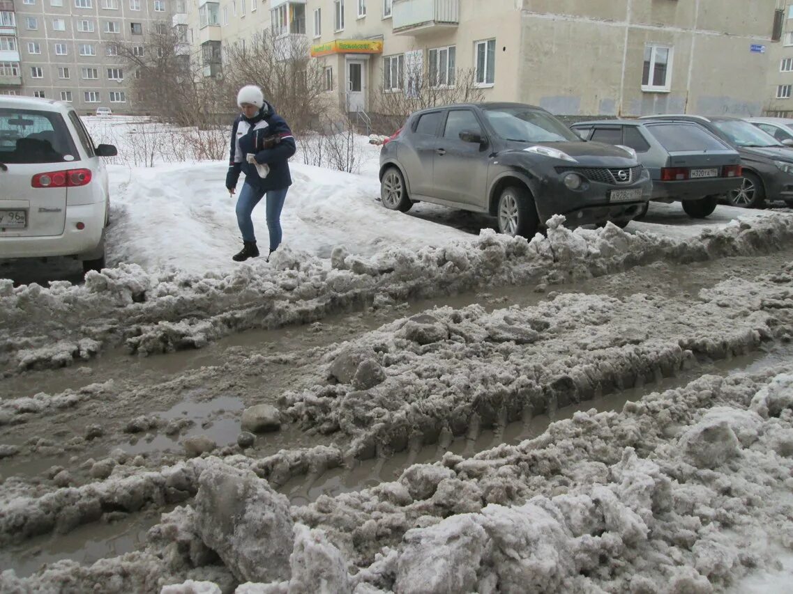 Мокрый двор