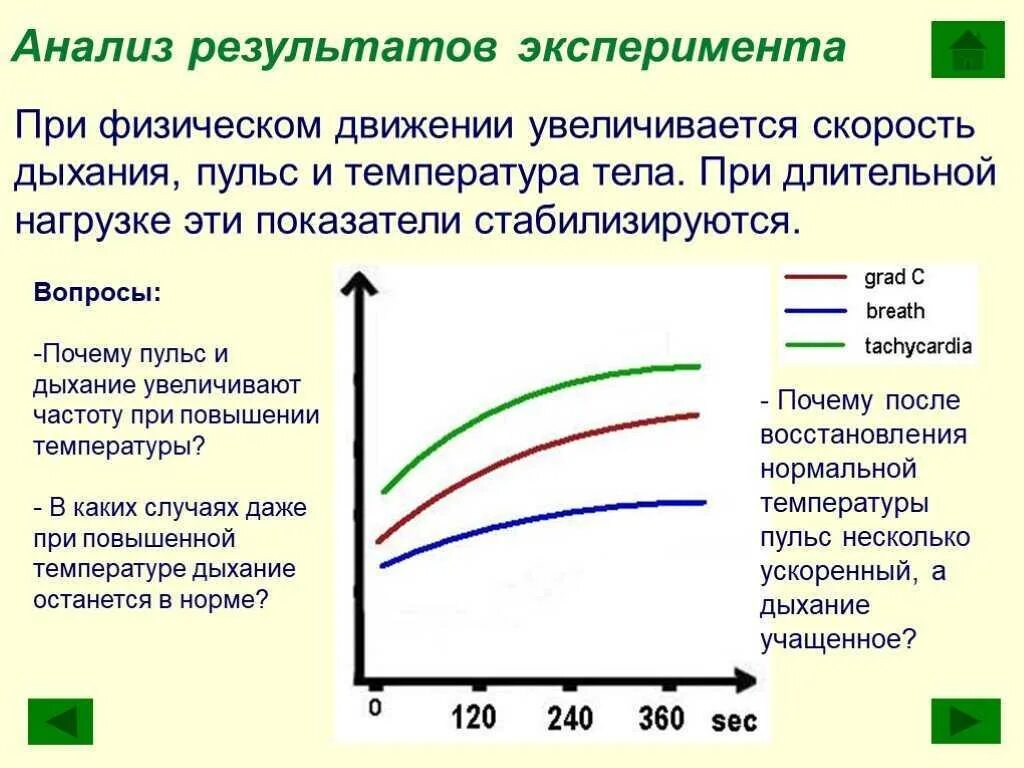 Температура после движения. Повышение пульса при температуре. Причины изменения пульса. При физической нагрузке температура тела повышается. Зависимость пульса от физической нагрузки.