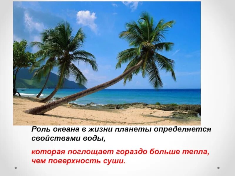 Жизнь в океане и на суше. Взаимодействие океана, атмосферы и суши. Взаимодействие океана с атмосферой и сушей. Роль океана. Влияние океана на атмосферу.