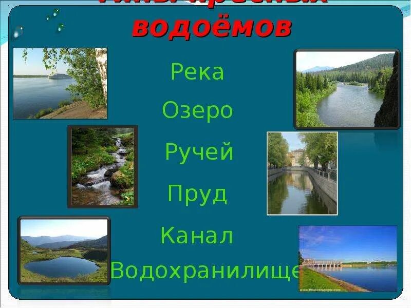 Сообщение на тему водоем. Пресные водоемы. виды водоемов. типы пресноводных водоемов. пресные реки.