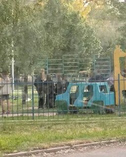 Подслушано в каменске шахтинском