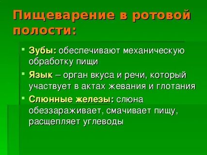 Обработка пищи в полости рта