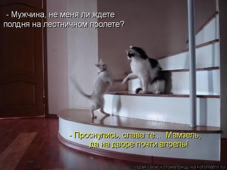 Прикольные рисунки. Полдня жду. Полдня жду. Полдня жду. Окно зимой.