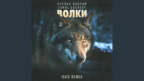 Слушать песни волки ауф
