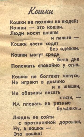 Слова песни не похожи. Слова песни кошки не похожи на людей. Стих кошки не похожи на людей. Заходер кошки не похожи на людей. Песенка кошки не похожи на людей.