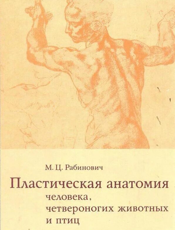 Книга написанная художником. Книга пластическая анатомия рабинович. рабинович пластическая анатомия и изображение человека. рабинович мц пластическая анатомия. рабинович м.ц. &quot; пластическая анатомия человека, животных и птиц&quot;.