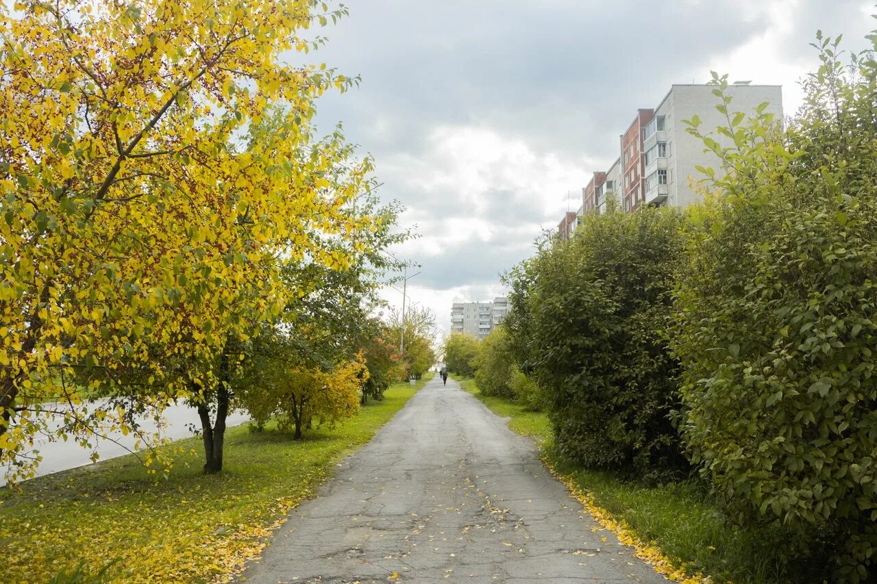 Ревда лист. Природа города ревды. ревда золотая осень. ревда осенью. ревда парк.