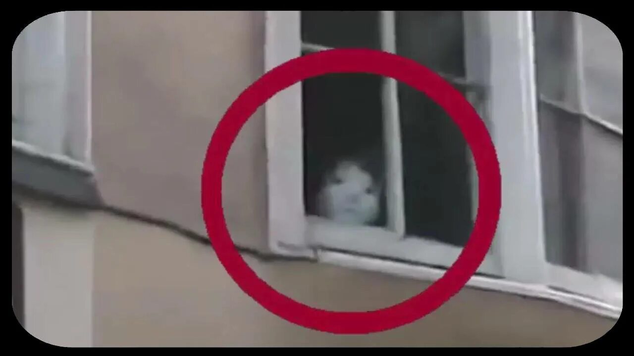 Барабашка снятый на камеру. Домовой в реальнойжищни. Существует ли Домовой на самом деле
