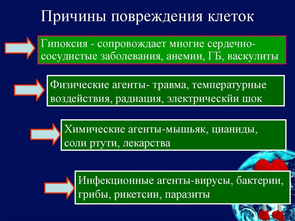 Факторы вызывающие повреждение. Причины повреждения клетки. Причины клеточных повреждений. Основные виды повреждения клеток. Этапы повреждения клетки.