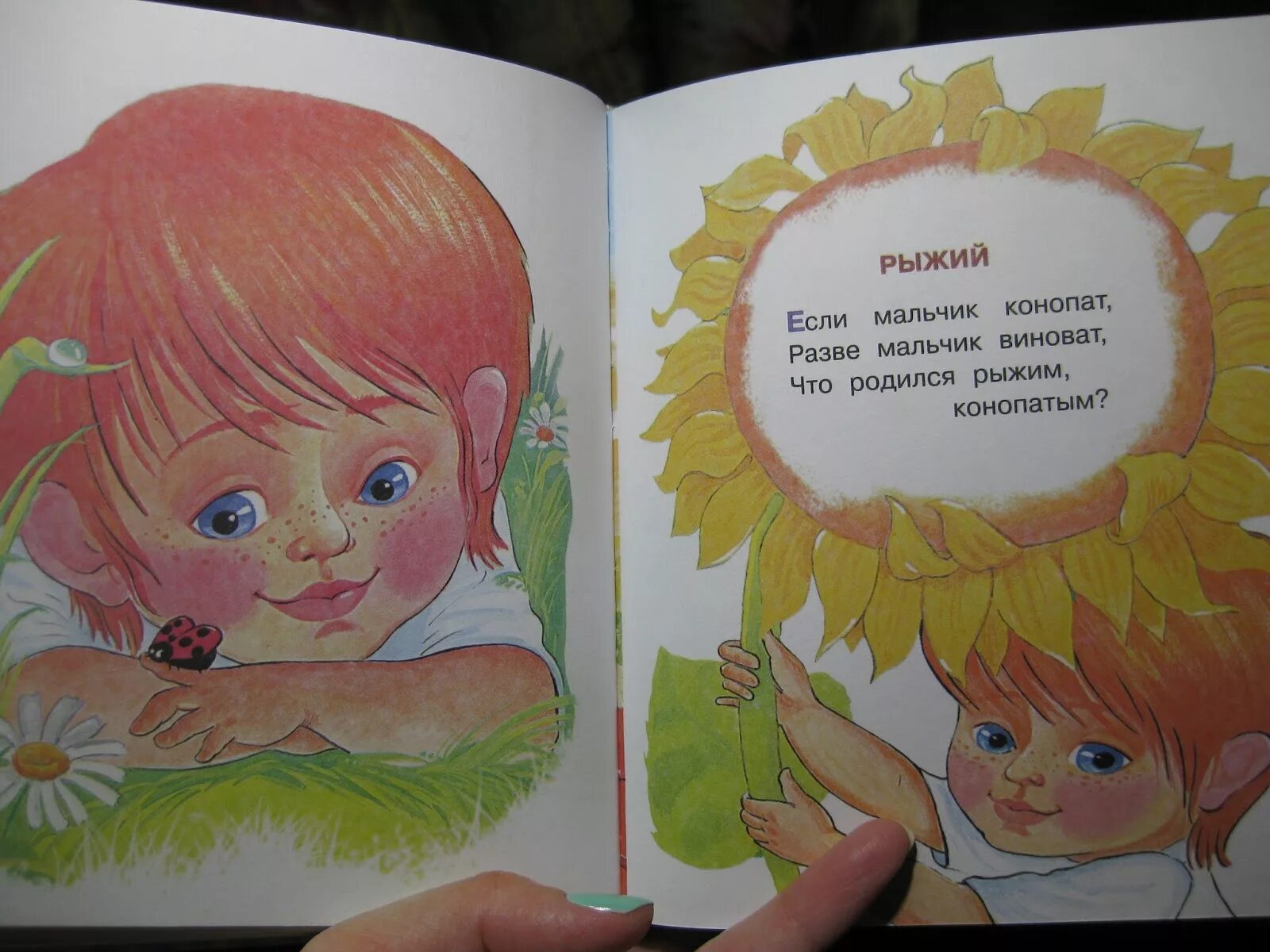 Разве ю. Дразнилка рыжий рыжий конопатый. рыжий рыжий конопатый книга. рыжий рыжий конопатый убил дедушку лопатой. если мальчик конопат разве мальчик виноват.