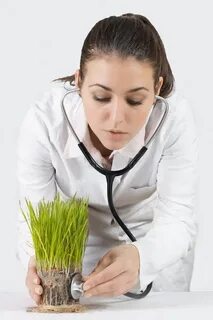 Dr plant