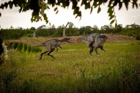 Woman Claims China Found an Undocumented Land of Living Dinosaurs in 2023.